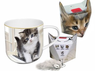Kubek z kotkiem - Sweety Kitty, pudełko z ogonkiem (CARMANI)