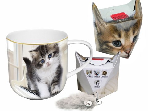 Kubek z kotkiem - Sweety Kitty, pudełko z ogonkiem (CARMANI)