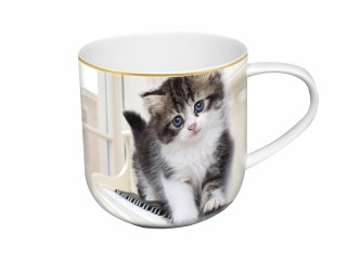 Kubek z kotkiem - Sweety Kitty, pudełko z ogonkiem (CARMANI)