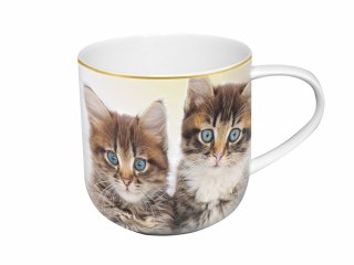 Kubek z kotkami 500ml - Sweety Kitty, pudełko z ogonkiem (CARMANI)