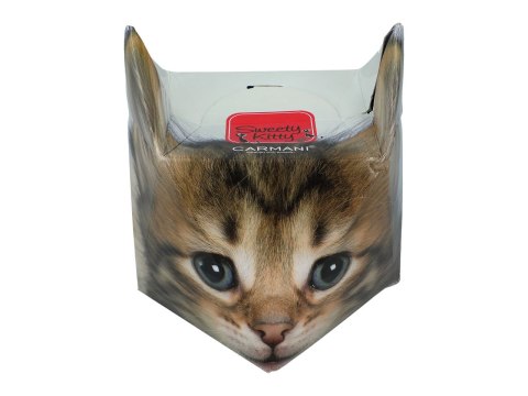 Kubek z kotkami 500ml - Sweety Kitty, pudełko z ogonkiem (CARMANI)